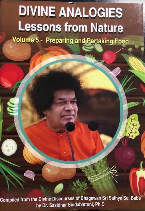 Divine Analogies Lessons From Nature - Volume 5
