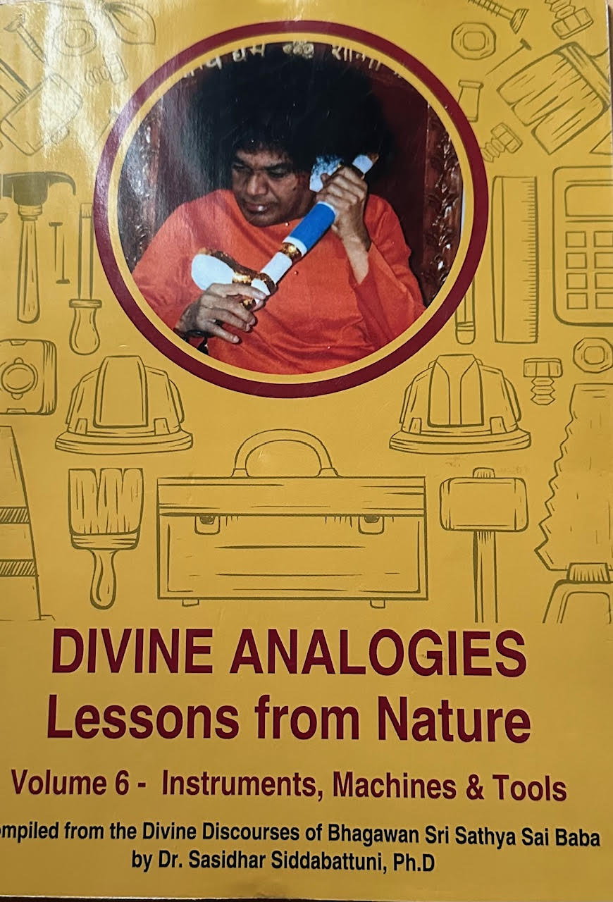 DIVINE ANALOGIES - LESSONS FROM NATURE - VOL 6